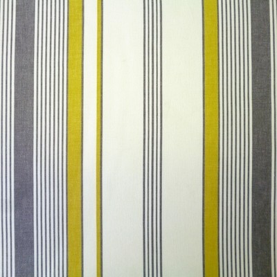 Taino Olive Fabric by Prestigious Textiles