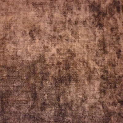 Sultan Chocolate Fabric by Prestigious Textiles