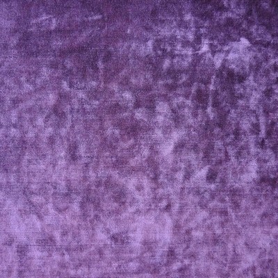 Sultan Plum Fabric by Prestigious Textiles