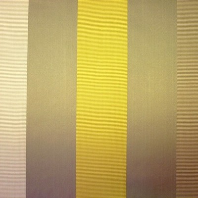 Dapper Mimosa Fabric by Prestigious Textiles