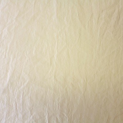 Polo Snow Fabric by Prestigious Textiles