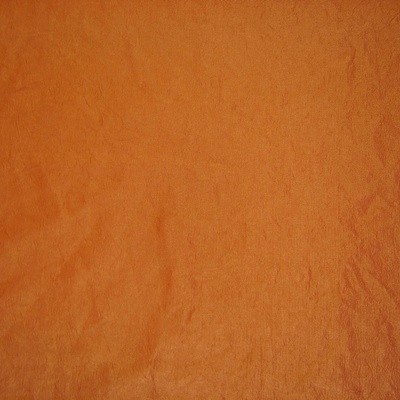 Polo Tango Fabric by Prestigious Textiles