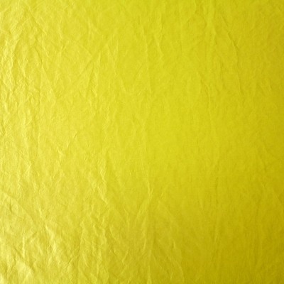 Polo Lime Fabric by Prestigious Textiles