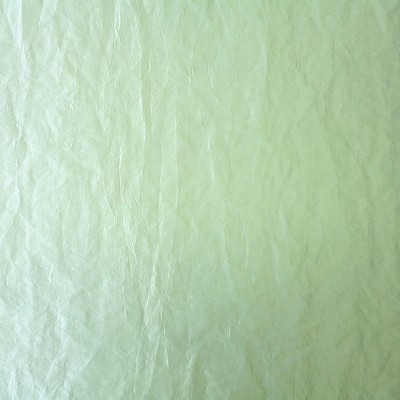 Polo Duck Egg Fabric by Prestigious Textiles