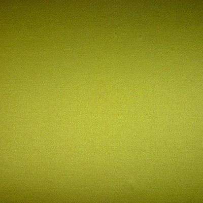 Chic Greengage Fabric by Prestigious Textiles