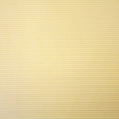 Palomino Champagne Fabric by Prestigious Textiles