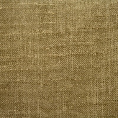 Glaze Mole Fabric by Prestigious Textiles