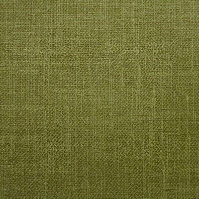 Glaze Ivy Fabric by Prestigious Textiles