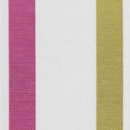 Raso Lime / Fuchsia Fabric by Clarke & Clarke