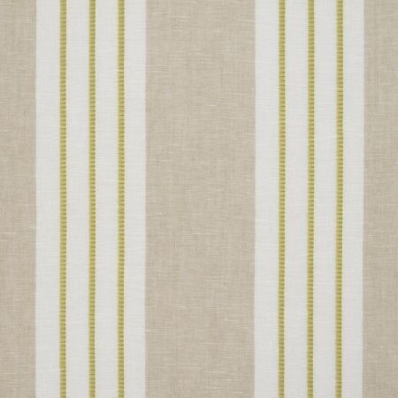 Tramma Citrus Fabric by Clarke & Clarke