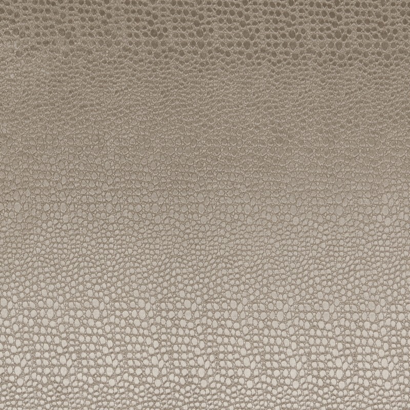 Pulse Ash Fabric by Clarke & Clarke