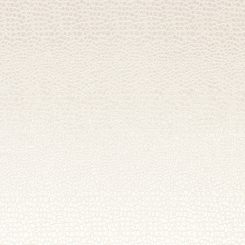 Pulse Pearl Fabric by Clarke & Clarke