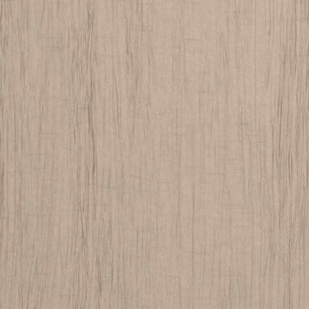 Silky Beech Fabric by Clarke & Clarke