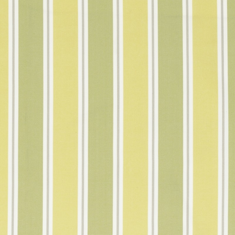 Stamford Citrus Fabric by Clarke & Clarke