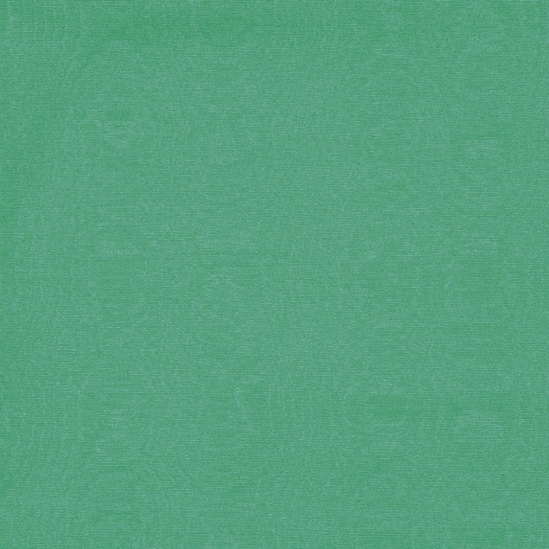 Moire Jade Fabric by Clarke & Clarke