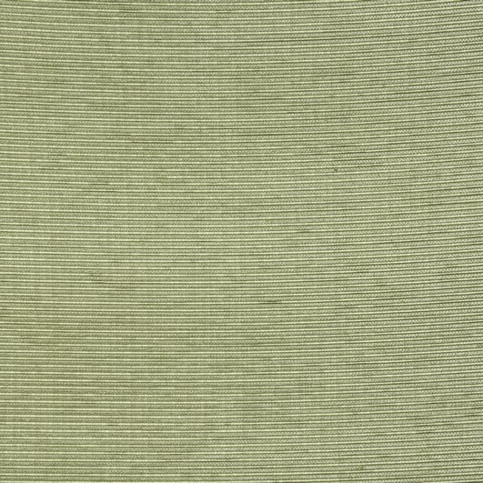 Zanzibar Lime Fabric by Fryetts - Britannia Rose