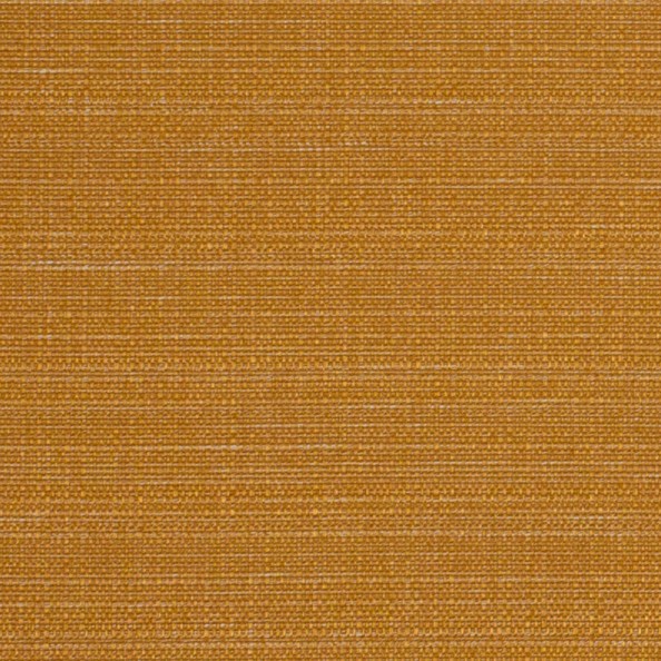 Raffia Clementine Fabric by Ashley Wilde