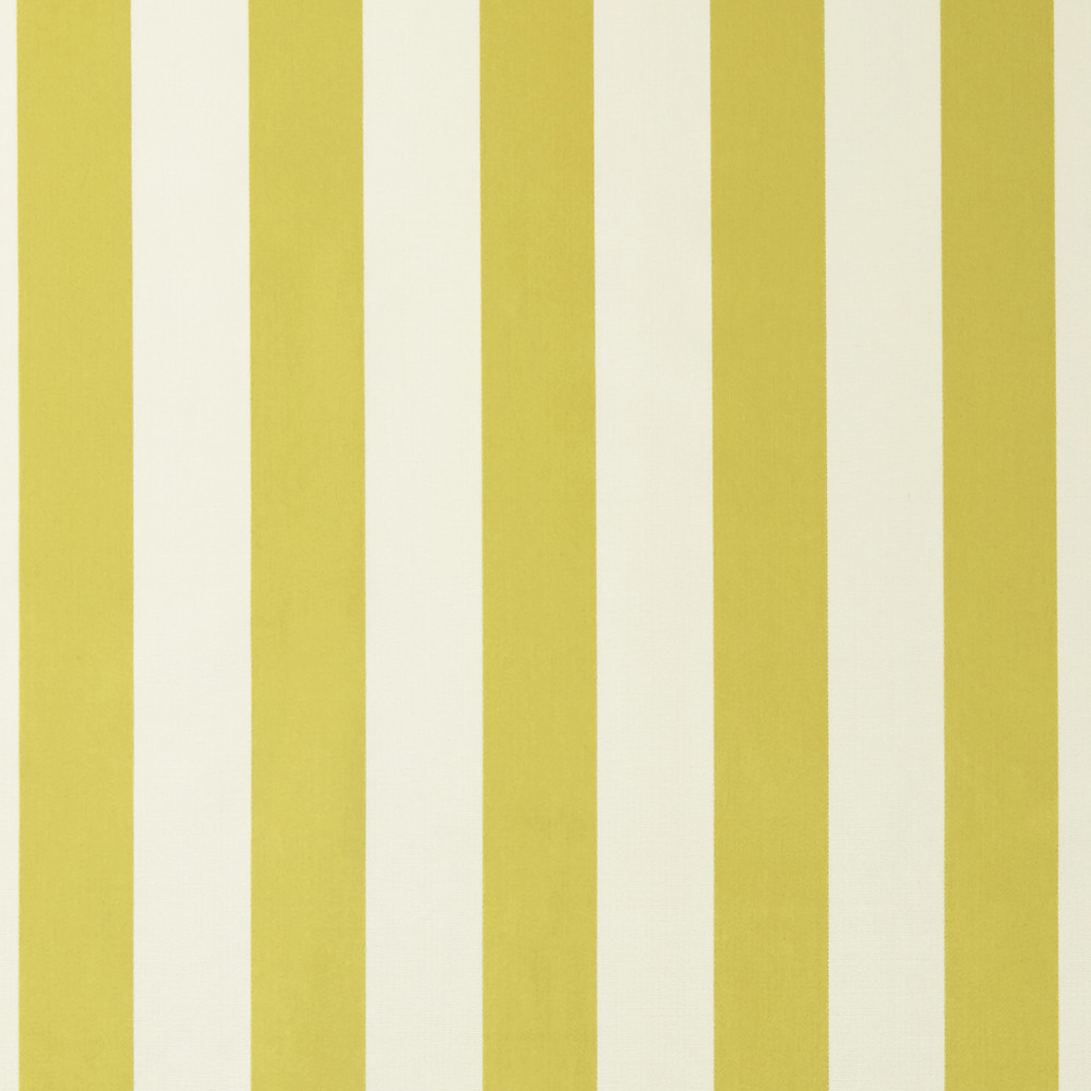 St James Stripe Acacia Fabric by Clarke & Clarke