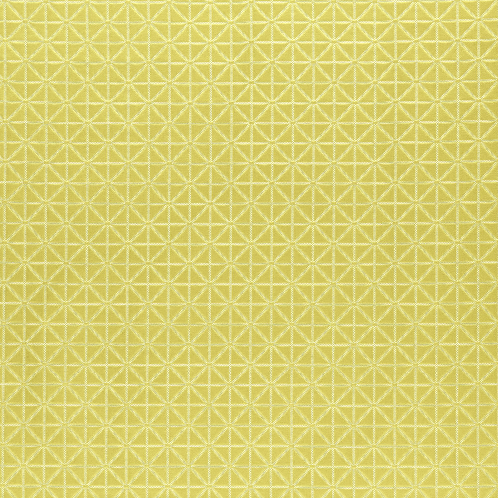 Sufi Chartreuse Fabric by Clarke & Clarke