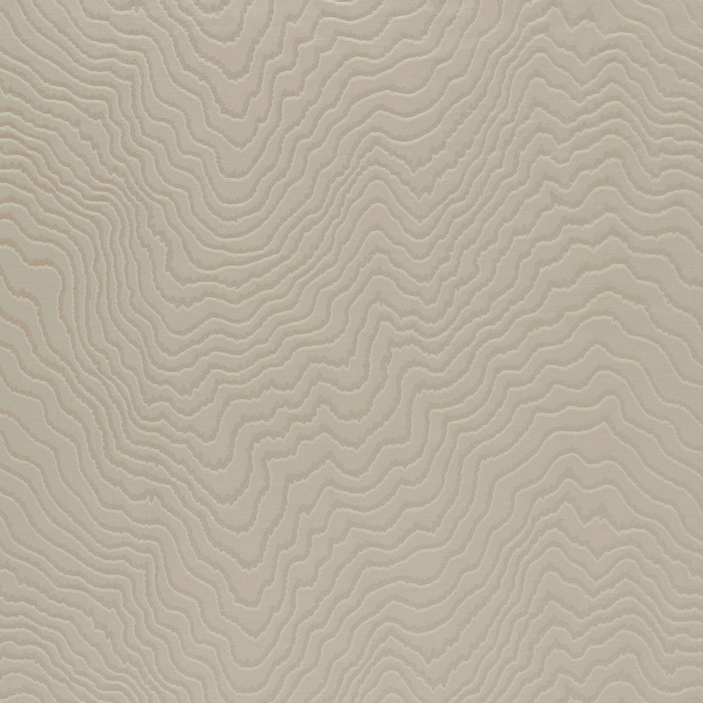 Fiji Taupe Fabric by Clarke & Clarke