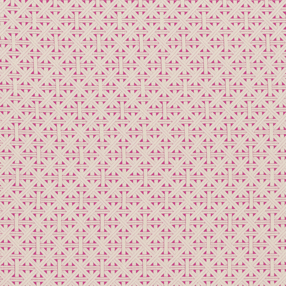 Cabana Fuchsia Fabric by Clarke & Clarke