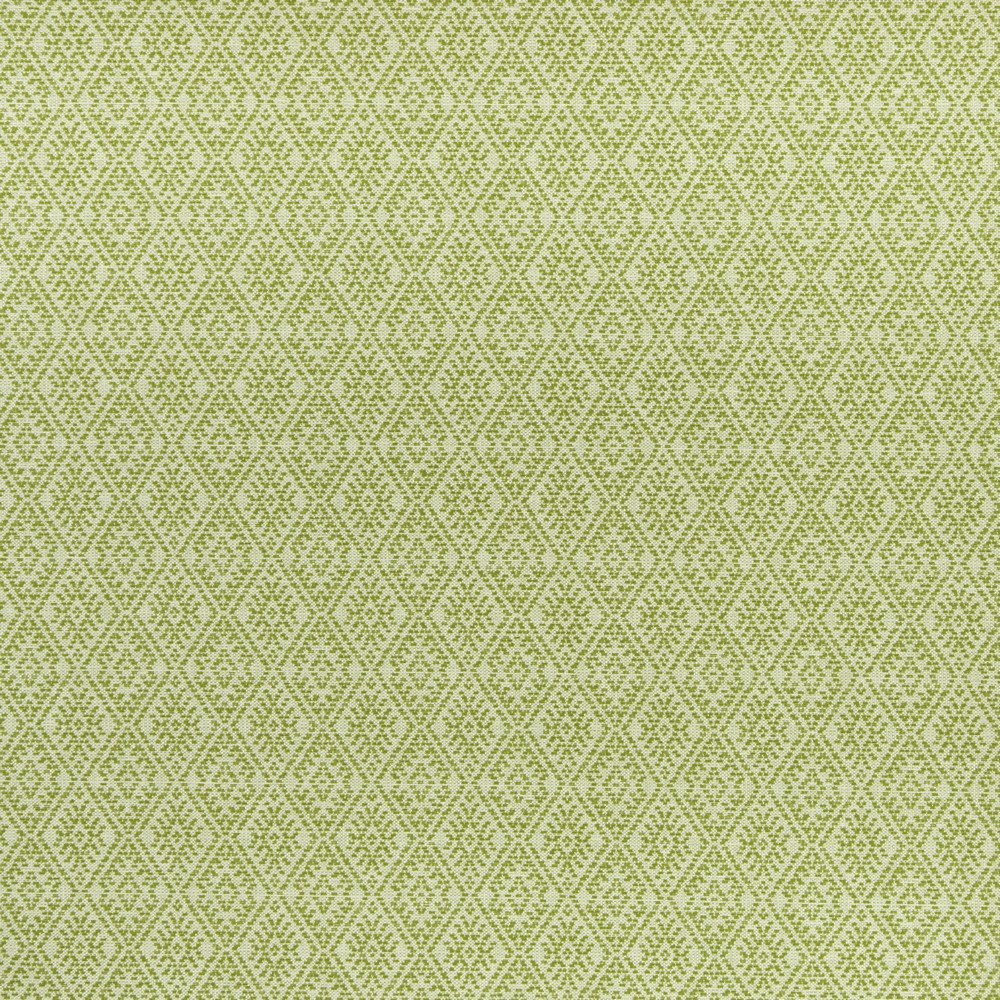 Hampstead Apple Fabric by Clarke & Clarke