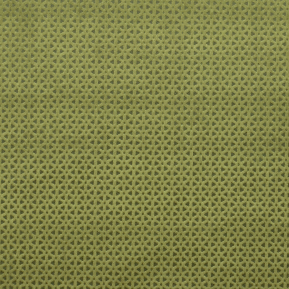 Loreto Olive Fabric by Studio G