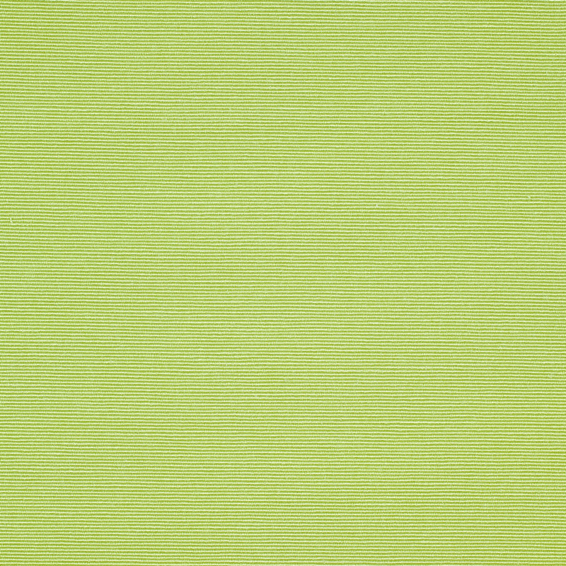 Plains Two Celery Fabric by Scion