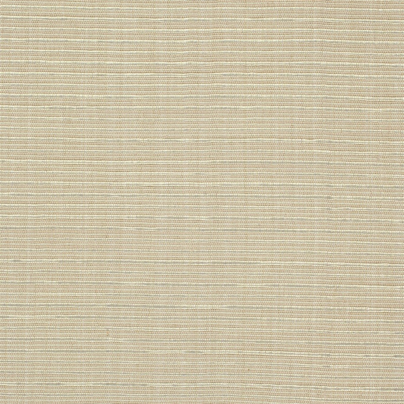 Plains Four Raffia Fabric by Scion