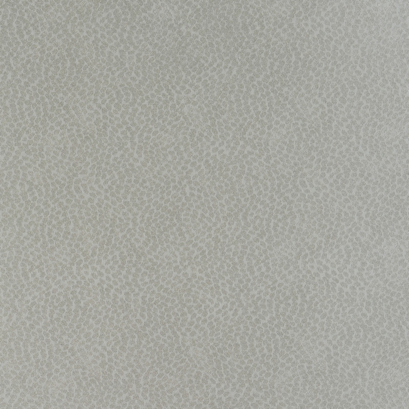 Topaz Silver Fabric by Fryetts