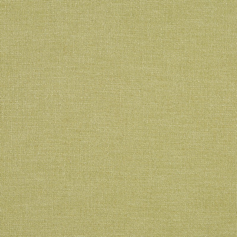 Synergy Gooseberry Fabric by Prestigious Textiles