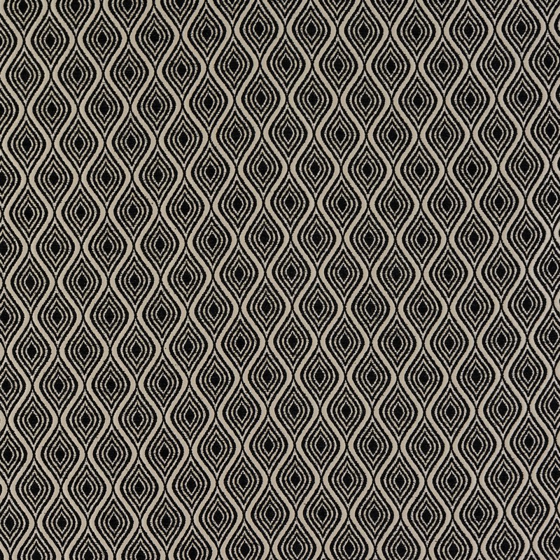 Giovanni Noir Fabric by Fryetts