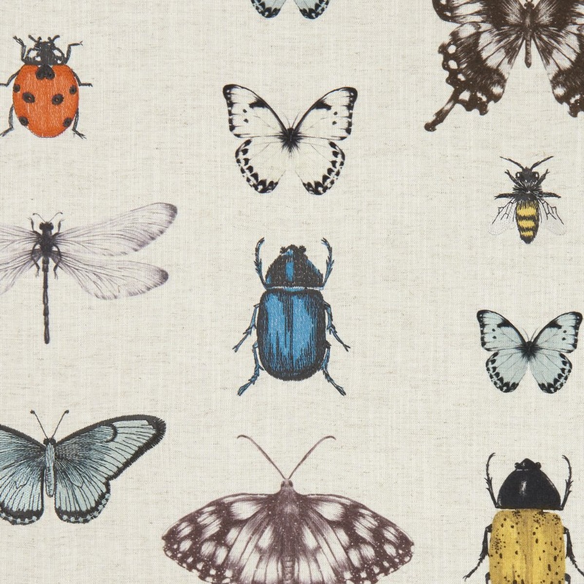 Papilio Mineral/Linen Fabric by Clarke & Clarke