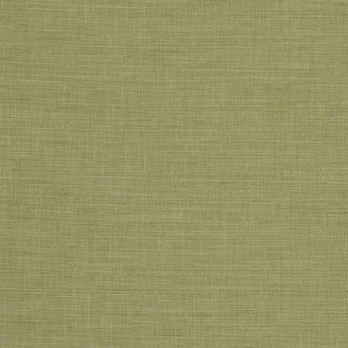 Seda Pesto Fabric by Clarke & Clarke