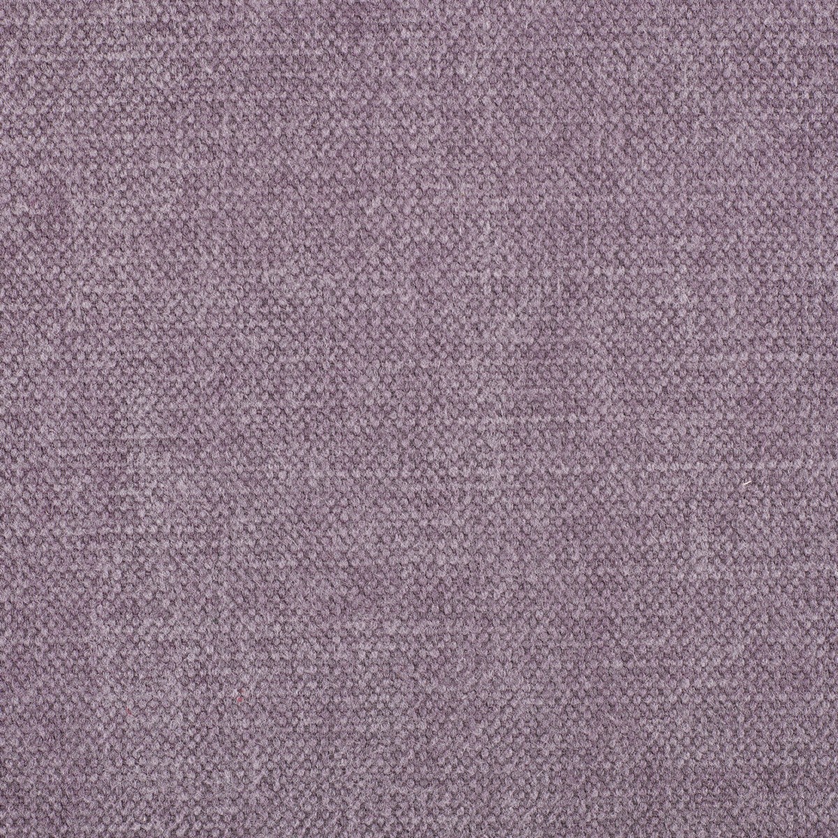 Jeans Thistle Fabric by Warwick