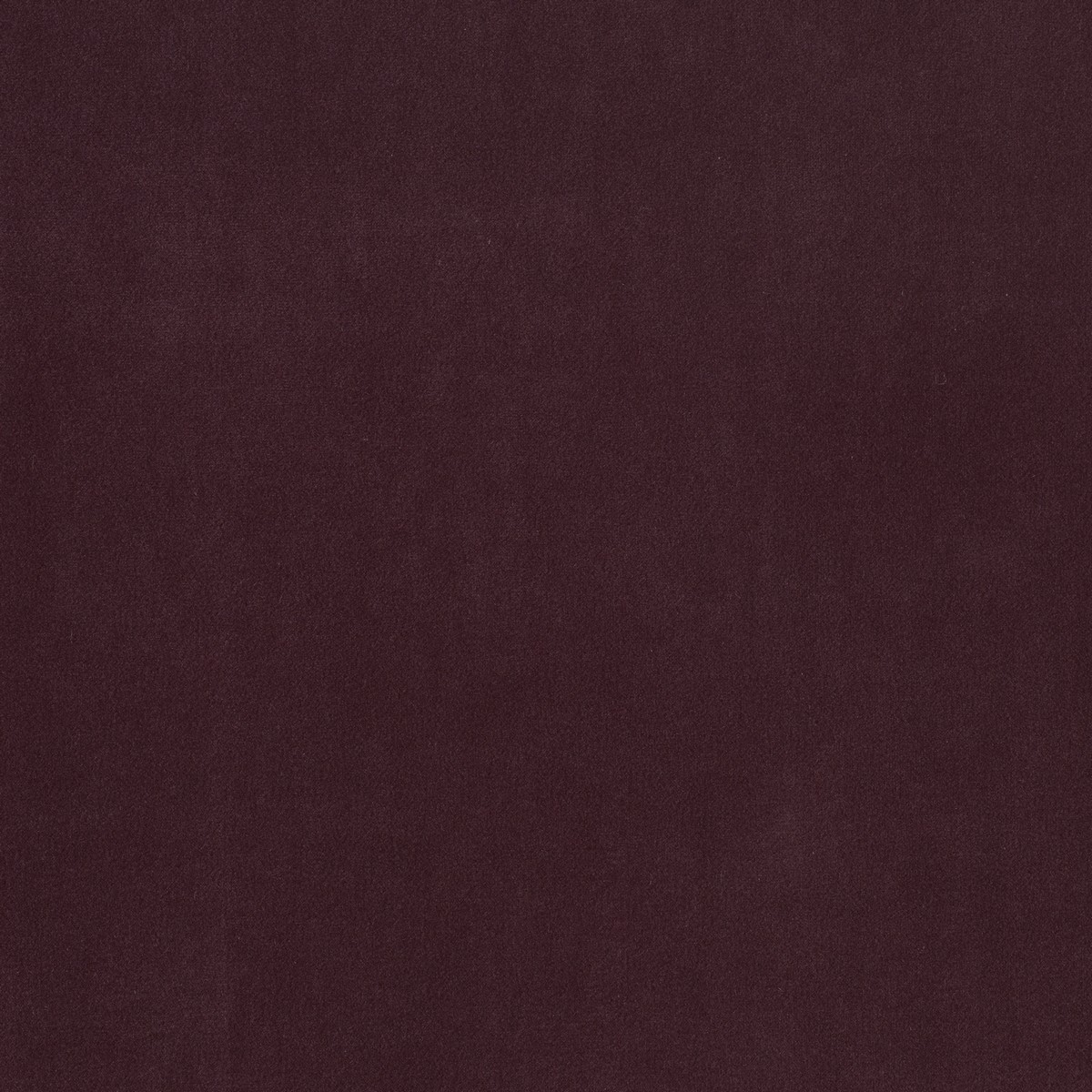 Plush Velvet Brinjal Fabric by Warwick