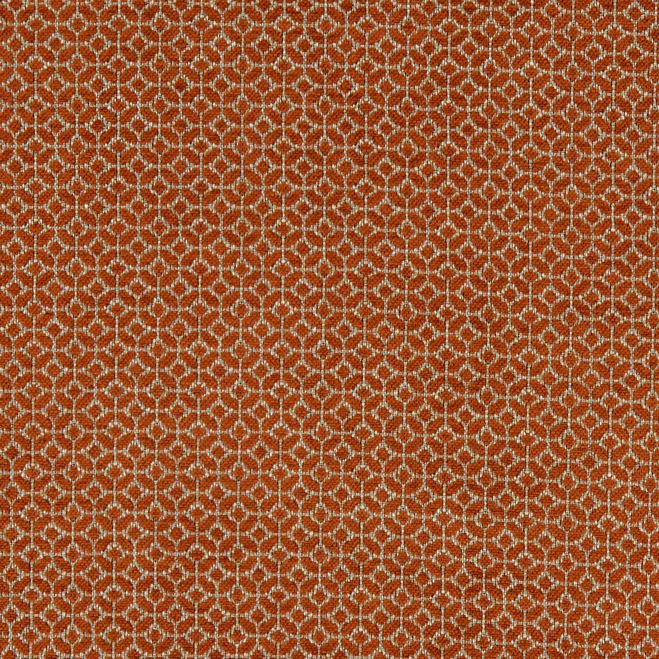 Orbit Spice Fabric by Clarke & Clarke