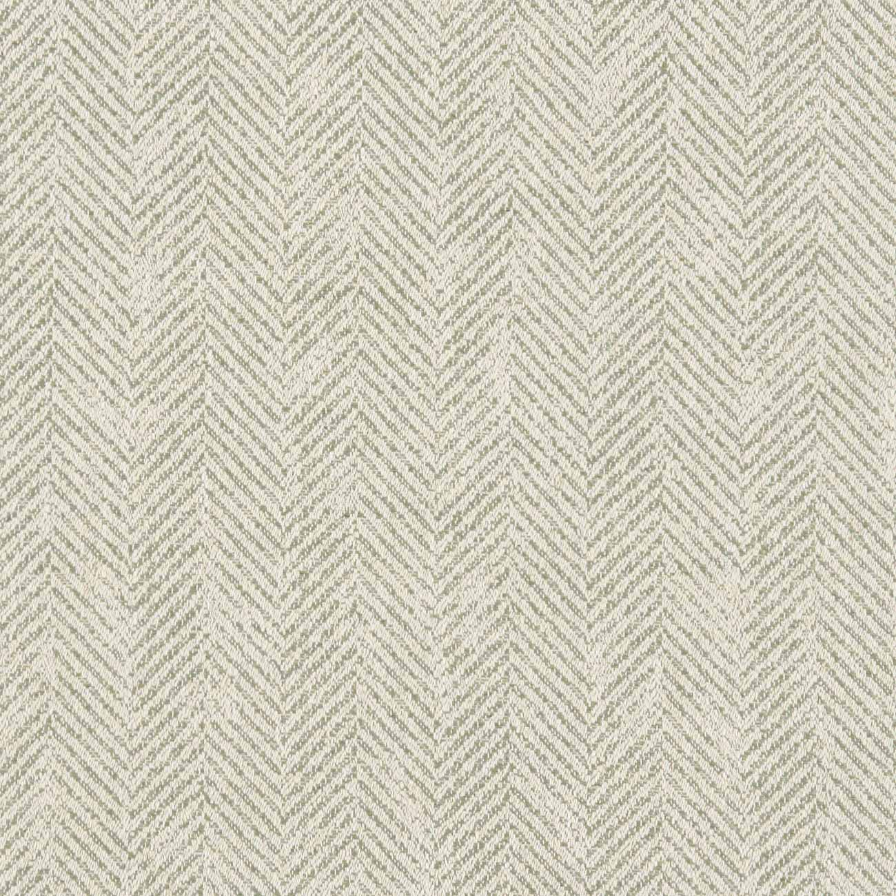 Ashmore Sage Fabric by Clarke & Clarke