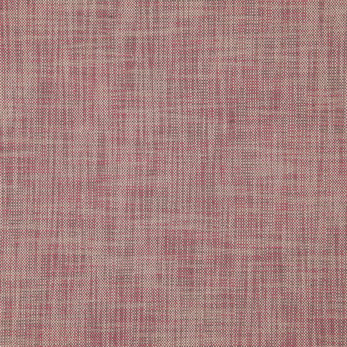 Levens Blush Fabric by Sanderson