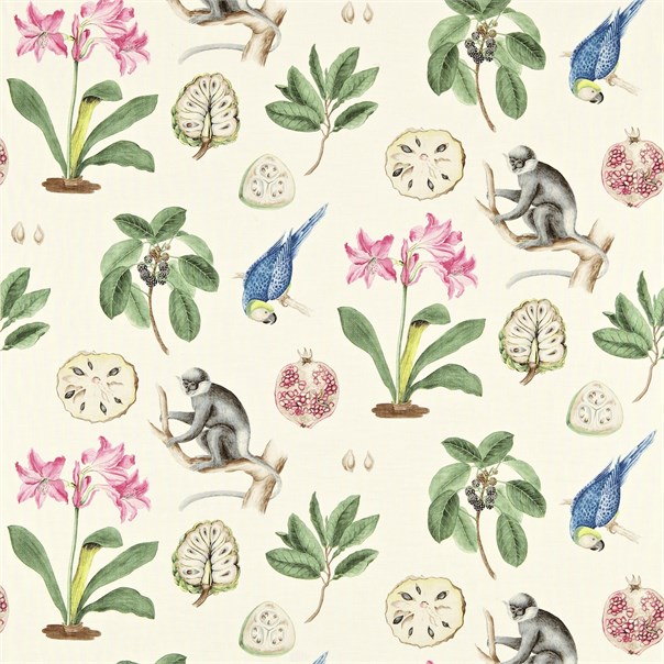 Capuchins Chintz Fabric by Sanderson