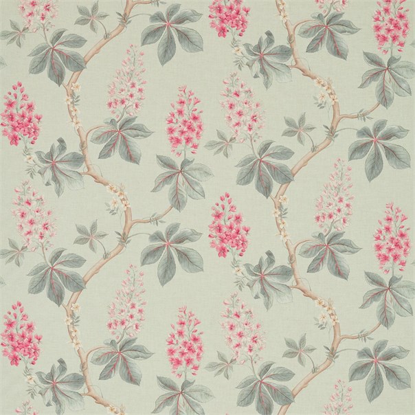 Chestnut Tree Seaspray/Peony Fabric by Sanderson