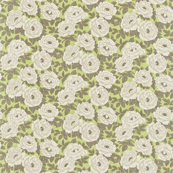 Anais Pistachio Fabric by Sanderson