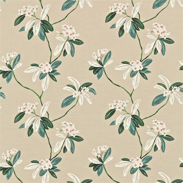 Oleander Orange/Teal Fabric by Sanderson