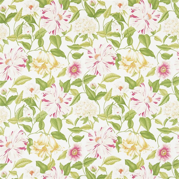 Floreanna Chintz Fabric by Sanderson