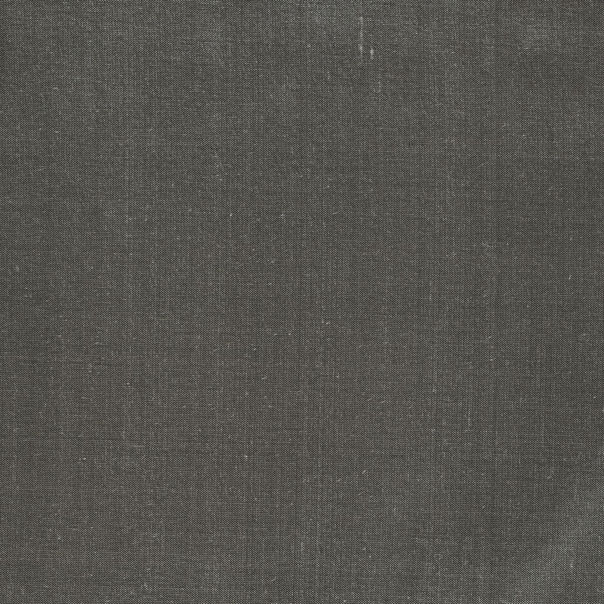 Palmetto Silks Graphite Fabric by Harlequin