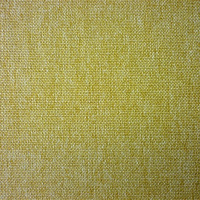 Berwick Moss Fabric by Prestigious Textiles
