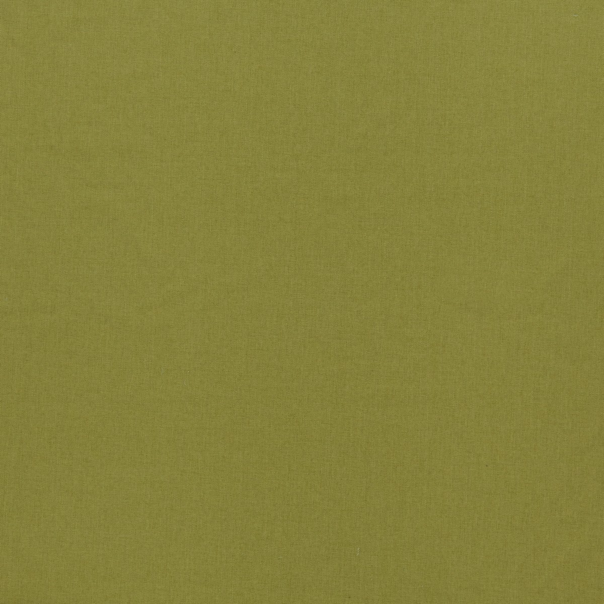 Clayton Pistachio Fabric by iLiv