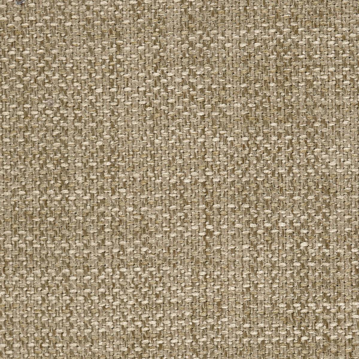 Omega Semolina Fabric by Harlequin