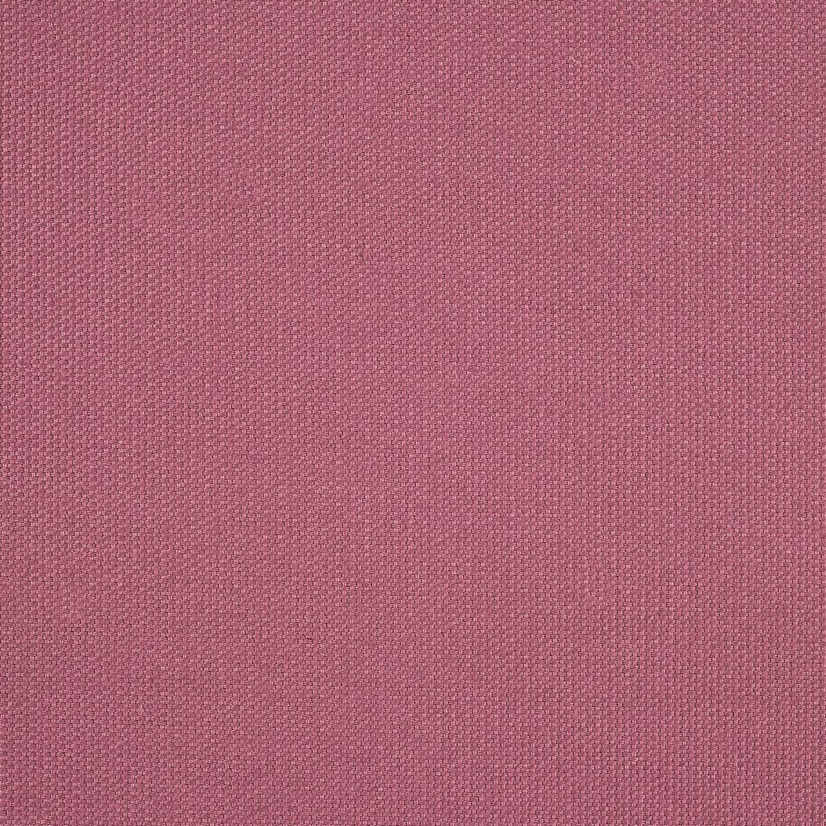 Papavera Plain Cameo Fabric by Sanderson