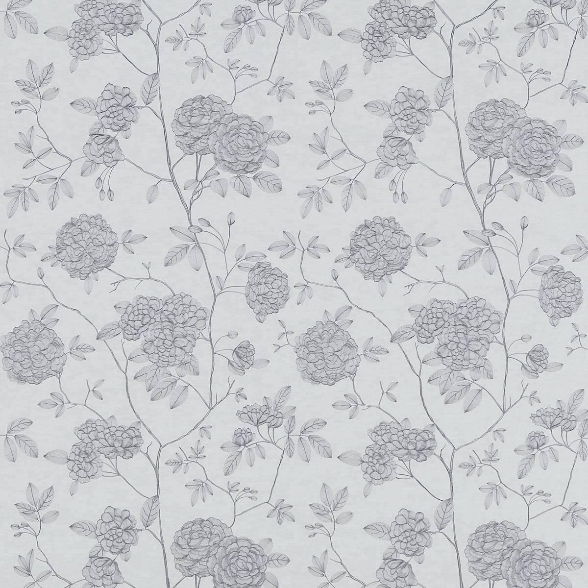 Alyce Wedgwood Fabric by Zoffany